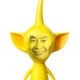 Shigmin